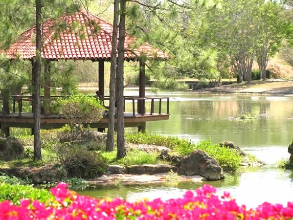 Río en el jardín botánico de Cienfuegos