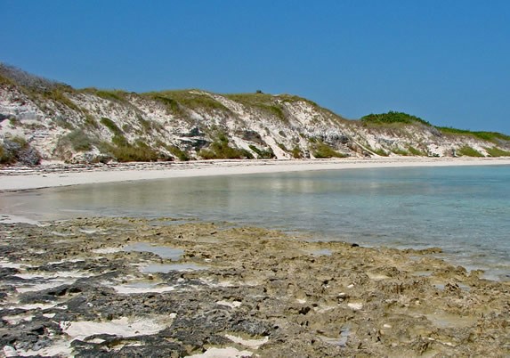 rocky beach with vegetation and blue waters