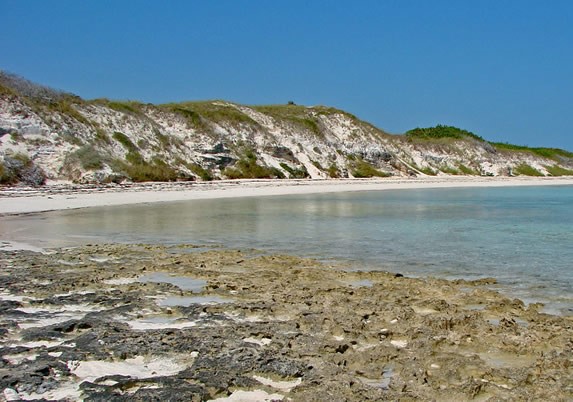 playa rocosa con vegetación y aguas azules