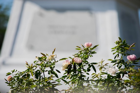 rosal junto al monumento de mármol