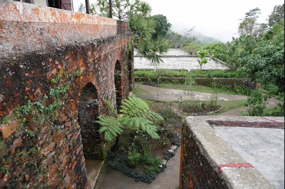 red brick ruins surrounded by greenery