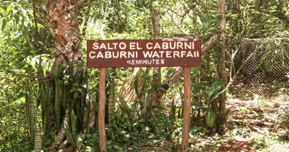 entrance sign surrounded by greenery