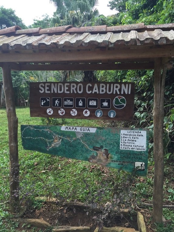 entrance sign with map surrounded by greenery