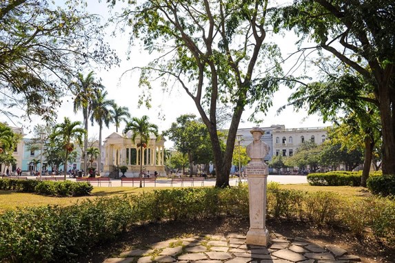 parque rodeado de vegetación con monumento