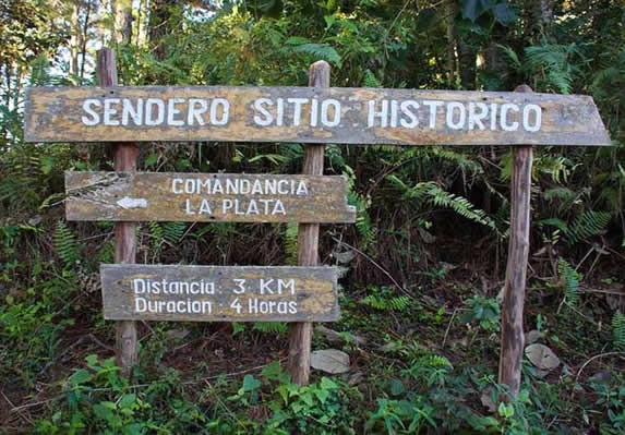 wooden signs in the middle of the vegetation