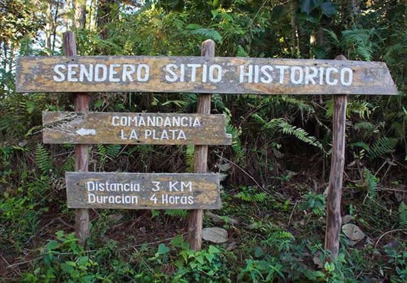 señales de madera en medio de la vegetación