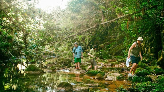 tourists crossing a creek on a trail