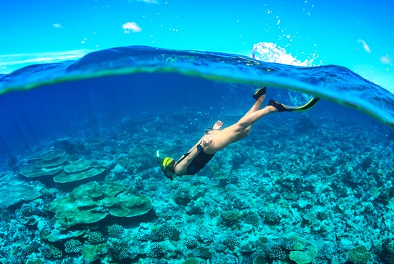 turista con patas de rana y snorkel en el océano