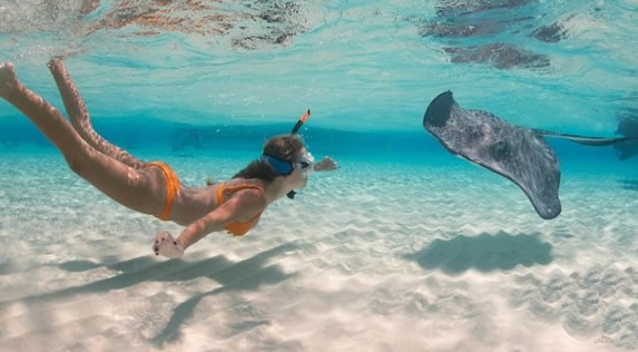 turista haciendo snorkel con mantarraya
