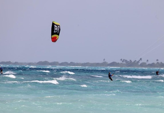 tourist surfing in the blue sea