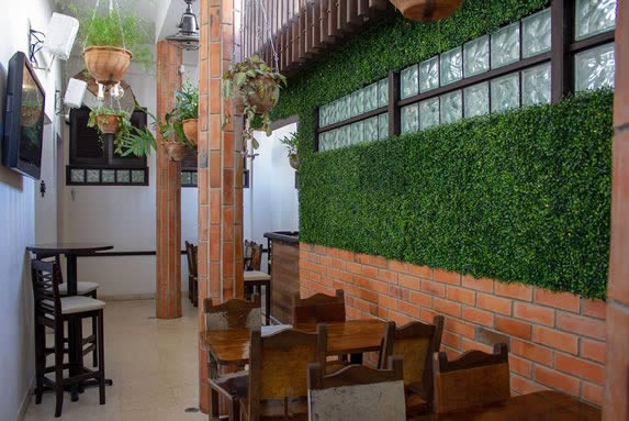 Terraza con vegetación en el Cafe Ortúzar