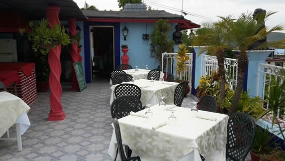 terrace furniture decorated with plants.