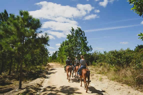 tourists riding horse in the valley