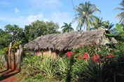Tradicional bohío en las montañas de Baracoa