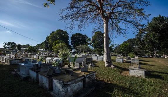 graves surrounded by vegetation