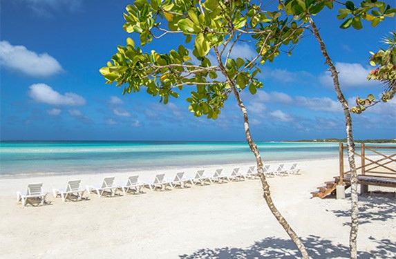 crystal clear water beach with loungers and plants