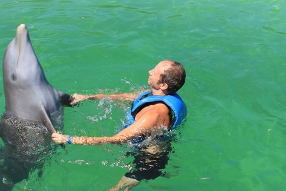 turista en el estanque nadando con delfín gris