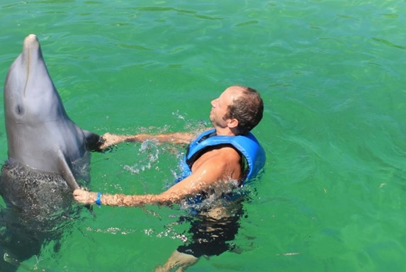 tourist in the pond swimming with gray dolphin