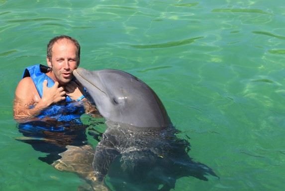 turista en el estanque nadando con delfín gris