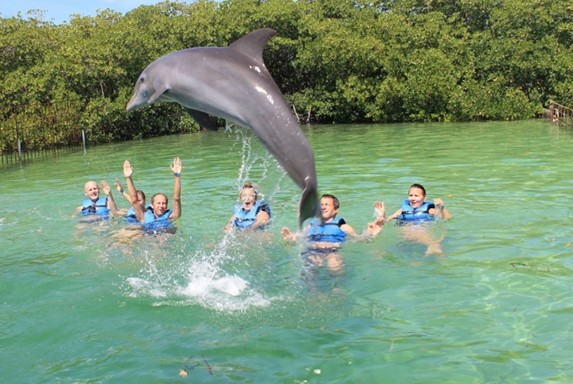 turistas en el estanque y delfín saltando