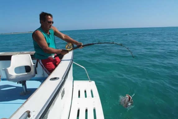 tourists holding fishing rods in the sea