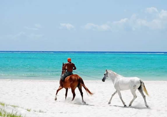 turista cabalgando por la playa