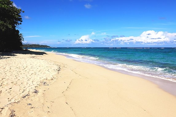 playa con vegetación en la orilla y mar azul