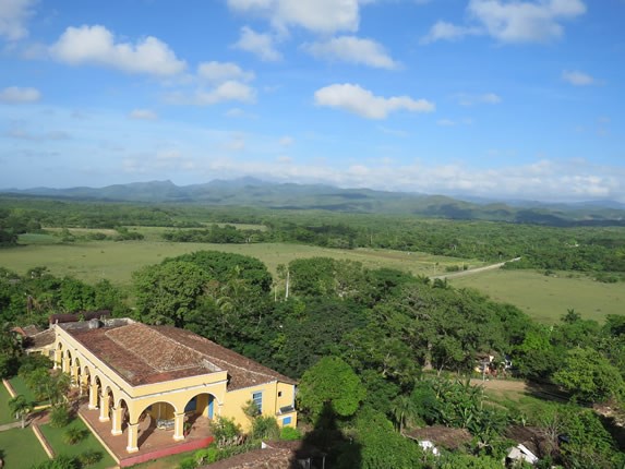 hacienda colonial amarilla rodeada de vegetación