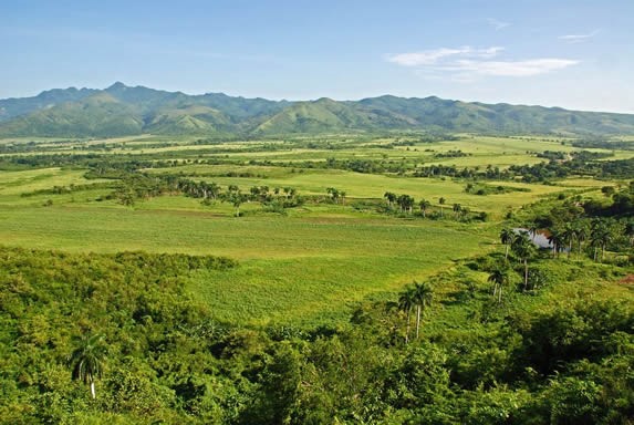 landscape with mountains surrounded by vegetation