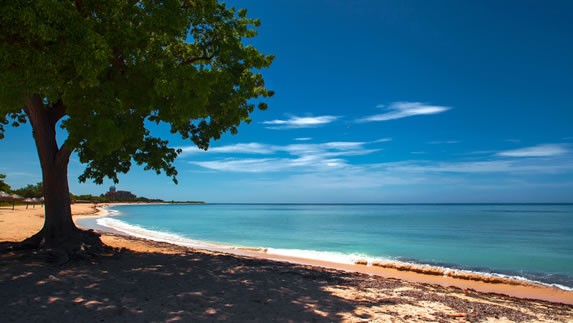 Abundante vegetación en la playa Mégano