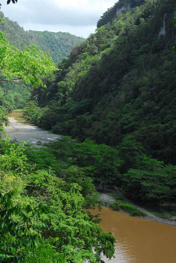 river running between the mountains with greenery