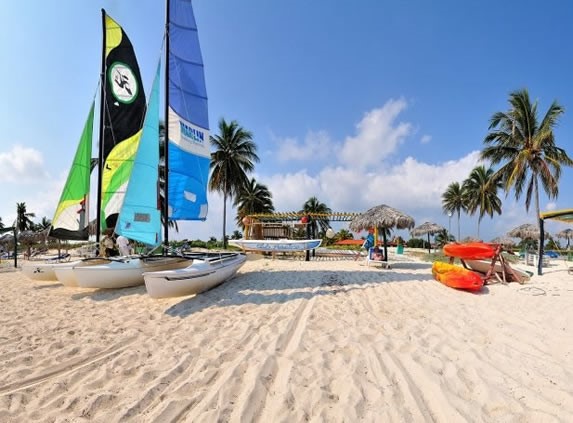 veleros y kayaks sobre la arena rodeados de palmas