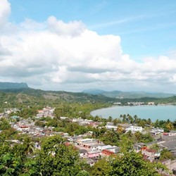 aerial view of the hotel surrounded by greenery