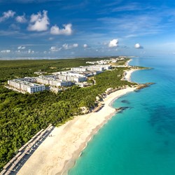 aerial view of the hotel by the sea with greenery