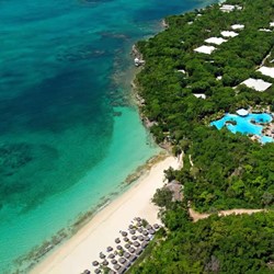 aerial view of the hotel by the sea with greenery