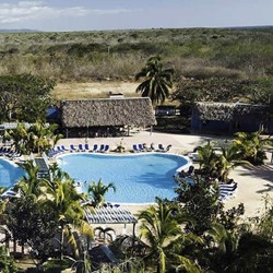 vista aérea de la piscina rodeada de vegetación