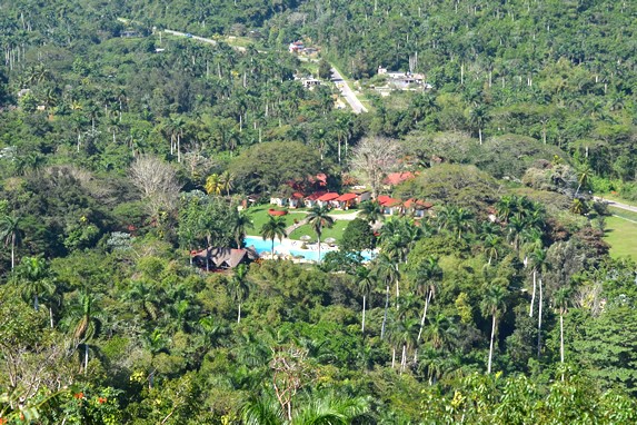 vista aérea del hotel rodeado de vegetación