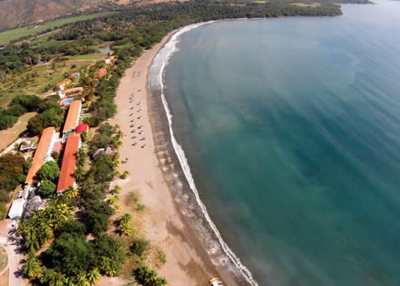 aerial view of the beach and greenery on the shore