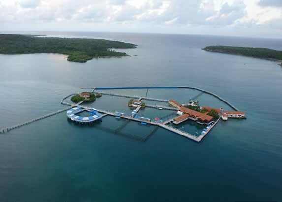 vista aérea de delfinario en medio del mar