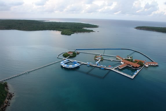 aerial view of aquarium in the middle of the sea