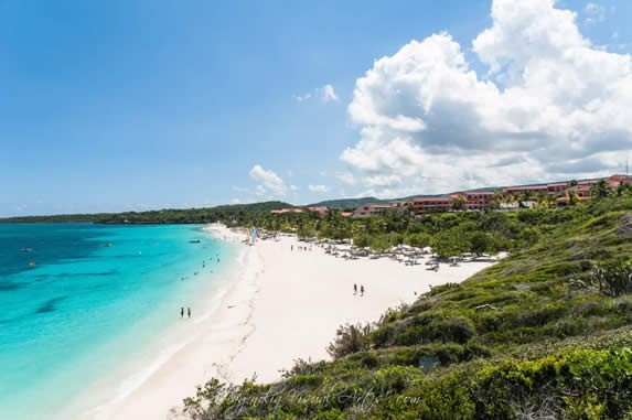 vista aérea de la playa con vegetación