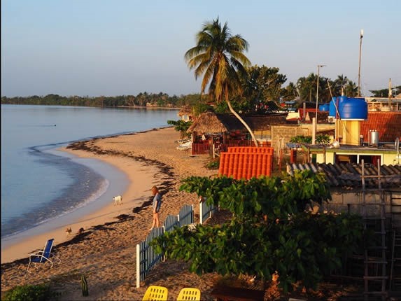 aerial view of beach with houses and palm trees