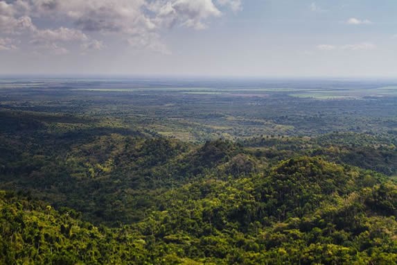 aerial view of the biosphere reserve