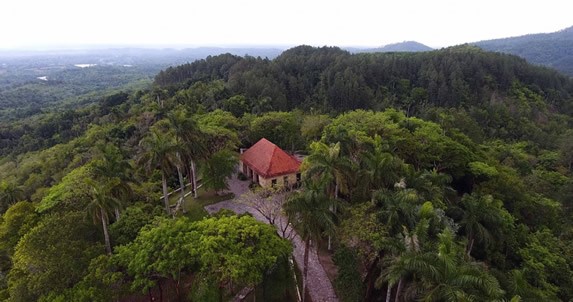 aerial view of coffee plantation 