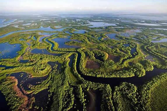 aerial view of cienaga de zapata