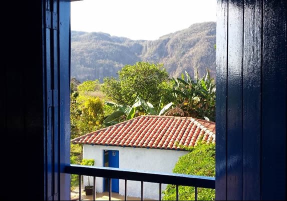 vista desde la ventana al exterior con vegetación