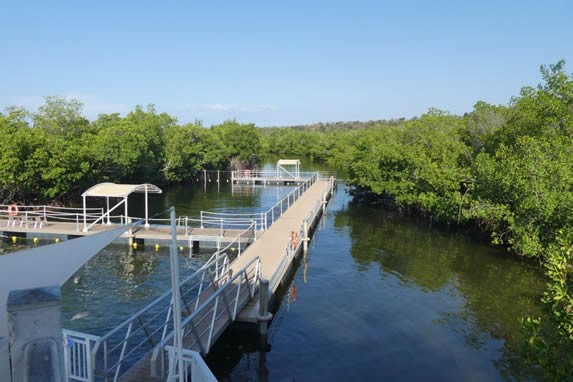 aerial view of the facilities with vegetation