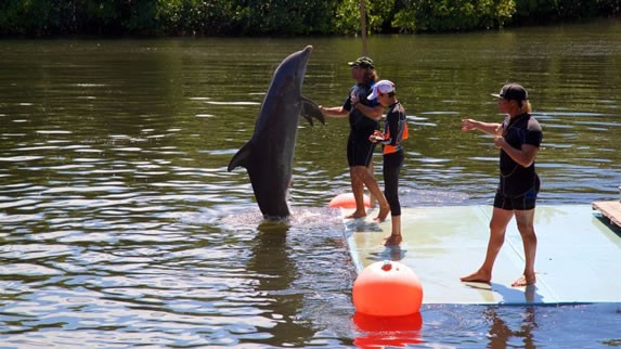 Show de delfines en Varadero