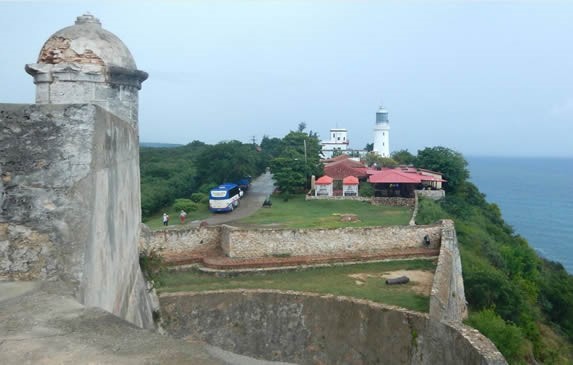 vista del faro rodeado de vegetación