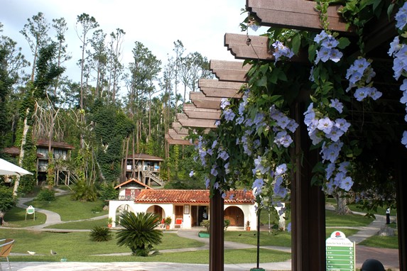 vista general del hotel con cabañas y vegetación